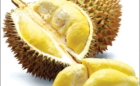 Sầu riêng chứa axit pholic giúp...?