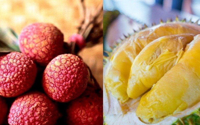 Ăn sầu riêng tránh bị nóng nên kết hợp với quả nào sau đây?