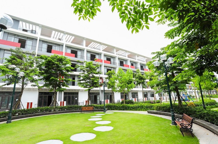 Người trưởng thành tìm kế hoạch chu toàn cho tương lai ảnh 2