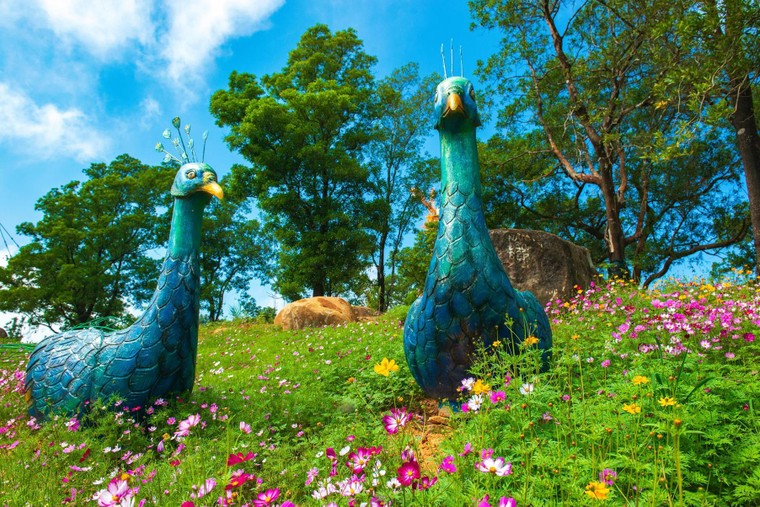 Tháng 6 về Tây Ninh trẩy hội Vía Bà ảnh 1