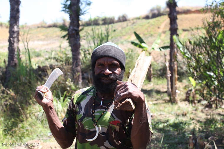 Phần lớn cư dân New Guinea sống chủ yếu dựa vào...?