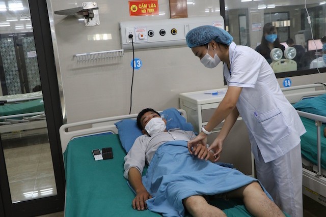 Nguy kịch vì bị kiến đốt ảnh 1