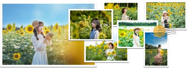 Đồi hoa mặt trời Ecopark khoe sắc đón thu sang ảnh 10