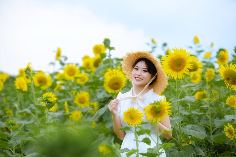 Đồi hoa mặt trời Ecopark khoe sắc đón thu sang ảnh 5