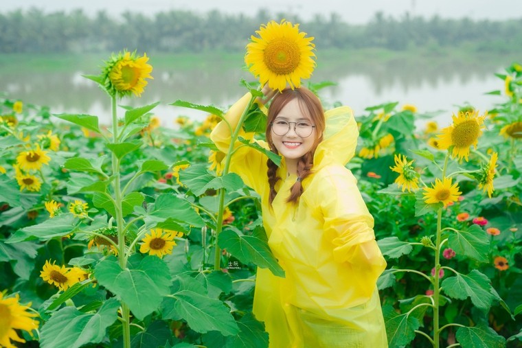 Đồi hoa mặt trời Ecopark khoe sắc đón thu sang ảnh 7