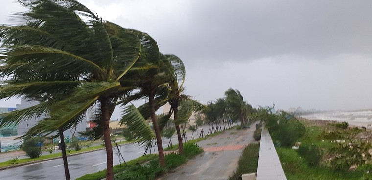 Bão đổ bộ, Phó Thủ tướng họp khẩn tại tiền phương ảnh 1