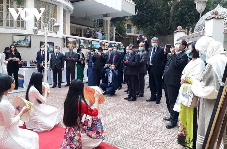 Phát triển quan hệ Việt Nam - Ai Cập qua các hoạt động văn hóa ảnh 1