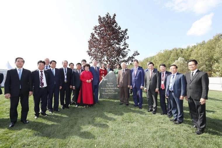 Nữ anh hùng lao động thời kỳ đổi mới Thái Hương: Những dấu ấn tiên phong ảnh 5