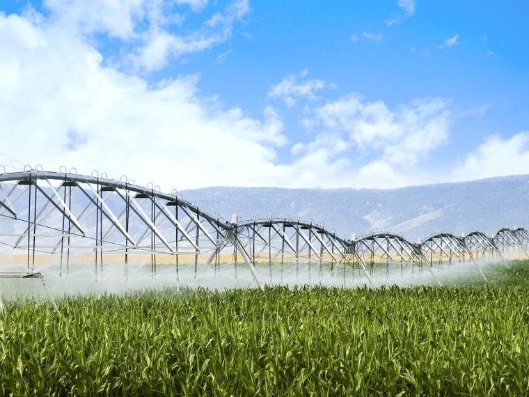 Nữ anh hùng lao động thời kỳ đổi mới Thái Hương: Những dấu ấn tiên phong ảnh 3