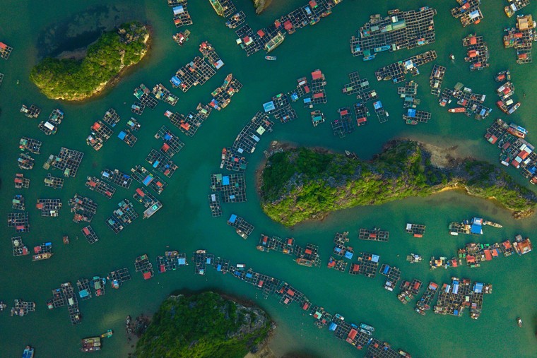 Lan Hạ đẹp ngỡ ngàng từ góc nhìn trên cao ảnh 4