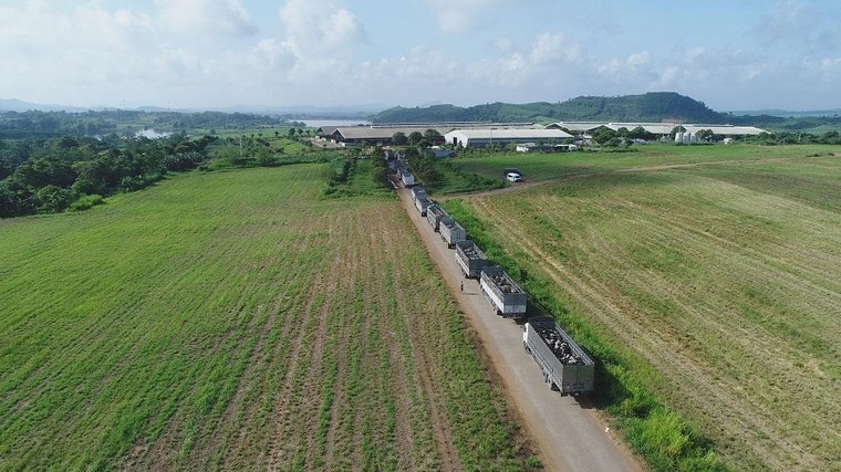 Vững đà tăng trưởng, TH true MILK đón đàn bò sữa cao sản nhập khẩu đầu tiên trong năm 2021 ảnh 2