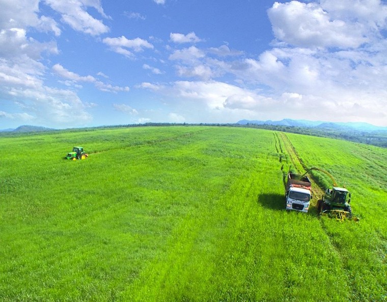 Vững đà tăng trưởng, TH true MILK đón đàn bò sữa cao sản nhập khẩu đầu tiên trong năm 2021 ảnh 4