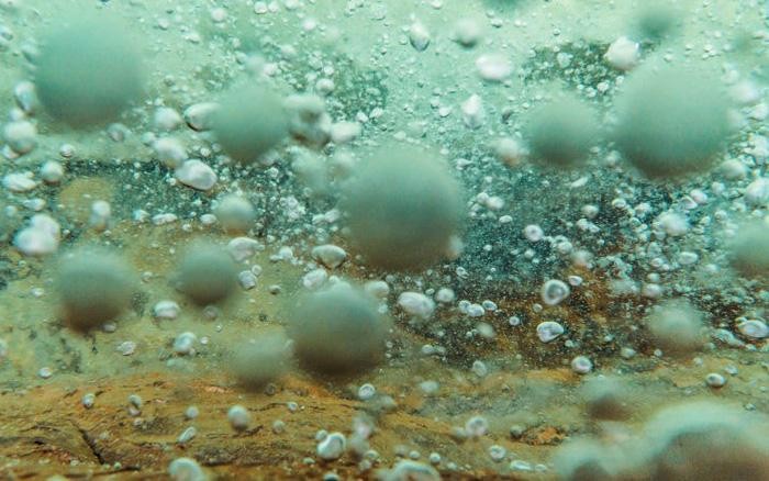 Dòng sông nóng nhất thế giới có tên là gì?