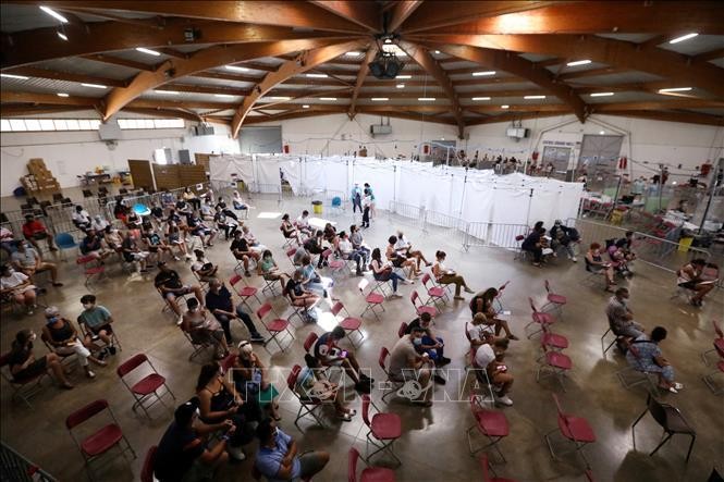 Thế giới có trên 176,9 triệu người mắc COVID-19 đã khỏi bệnh ảnh 3