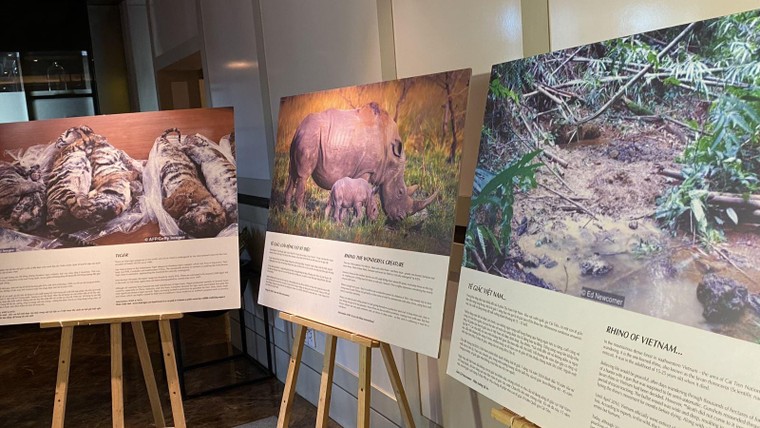 Trao giải VIEWS Awards 2021 cho 16 tác phẩm viết về thiên nhiên hoang dã ảnh 3