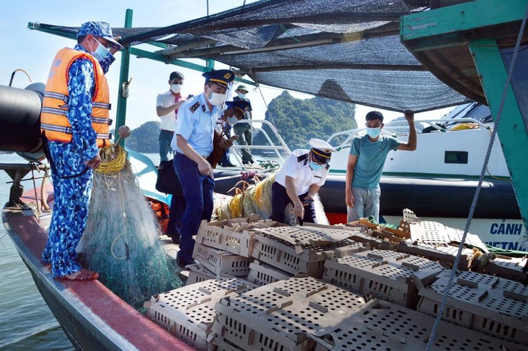 Luật Cảnh sát biển Việt Nam quy định cán bộ, chiến sĩ Cảnh sát biển Việt Nam có nghĩa vụ, trách nhiệm nào dưới đây? 