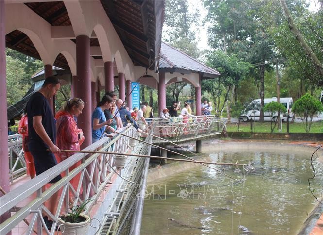 Tín hiệu vui đầu năm từ ngành Du lịch ảnh 1