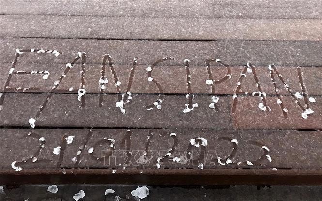 Băng tuyết bao phủ đỉnh Fansipan, Sa Pa ảnh 1