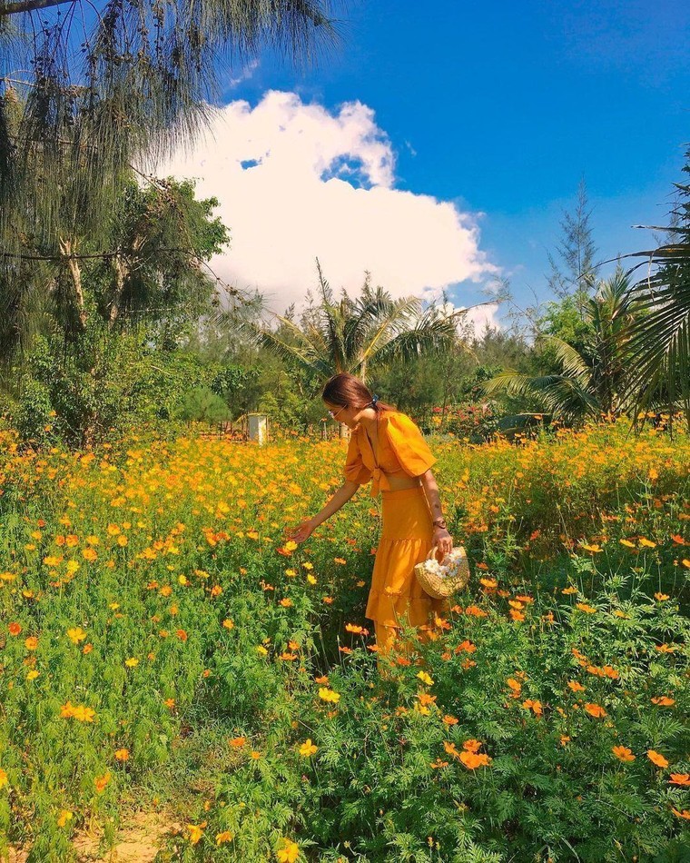 Hòa mình vào thiên nhiên hoang dã tại FLC Zoo Safari Park Quy Nhon ảnh 2