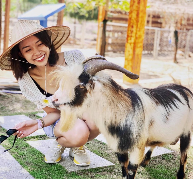 Hòa mình vào thiên nhiên hoang dã tại FLC Zoo Safari Park Quy Nhon ảnh 5