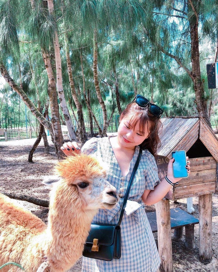 Hòa mình vào thiên nhiên hoang dã tại FLC Zoo Safari Park Quy Nhon ảnh 6