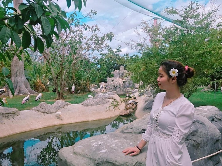 Hòa mình vào thiên nhiên hoang dã tại FLC Zoo Safari Park Quy Nhon ảnh 8