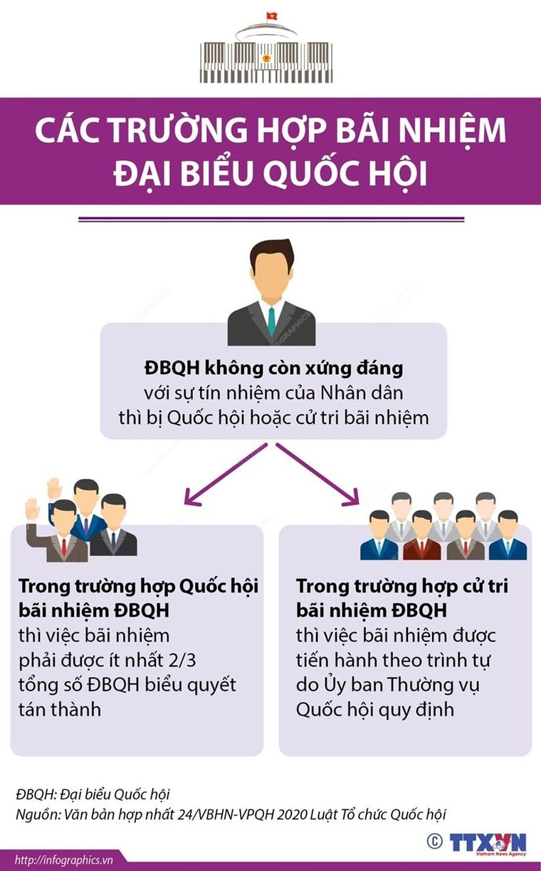 [Infographics] Các trường hợp bãi nhiệm đại biểu Quốc hội ảnh 1