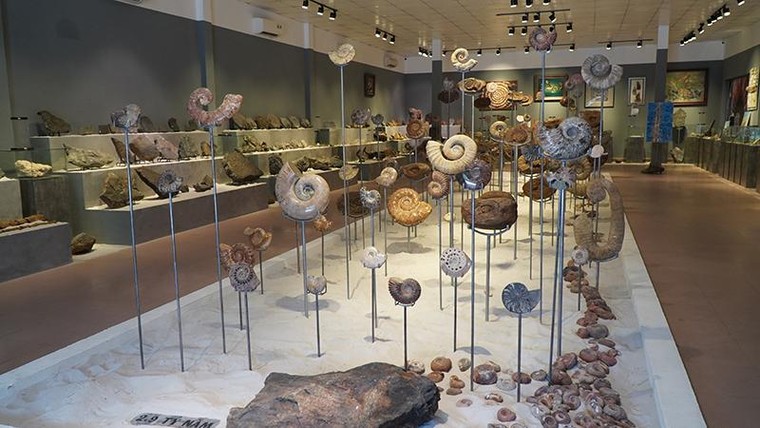 Triển lãm 'Hóa thạch - Hành trình khám phá nguồn gốc sự sống trên Trái Đất' tại Festival Huế 2022 ảnh 1