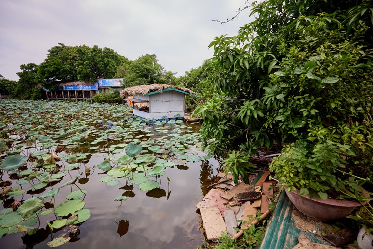 TS.KTS Hoàng Hữu Phê: Xây dựng Hồ Tây thành trung tâm văn hóa mới của Thủ đô là quyết định đúng đắn ảnh 2