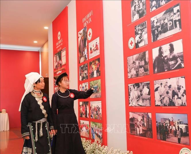 Khai mạc triển lãm 'Hệ sinh thái nhân đạo' ảnh 3