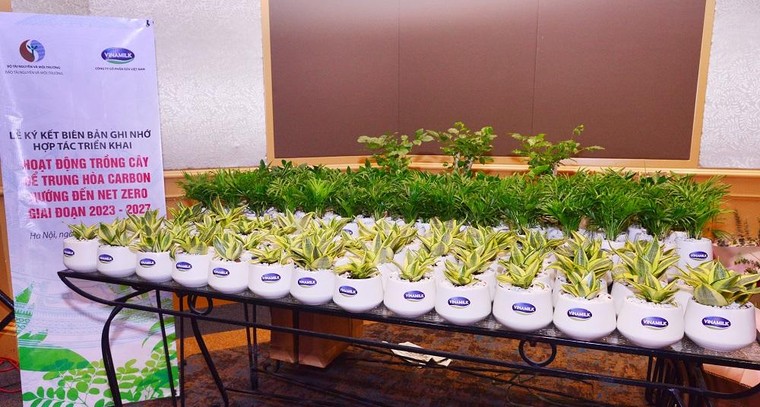 Tiếp nối thành công của quỹ 1 triệu cây xanh, Vinamilk tiếp tục hướng đến mục tiêu Net Zero 2050 ảnh 4