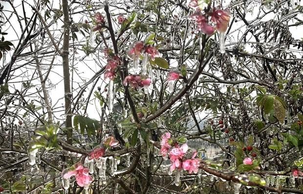 Chuyên gia nhận định đợt rét đậm đầu tiên trong mùa Đông 2022-2023 ảnh 1