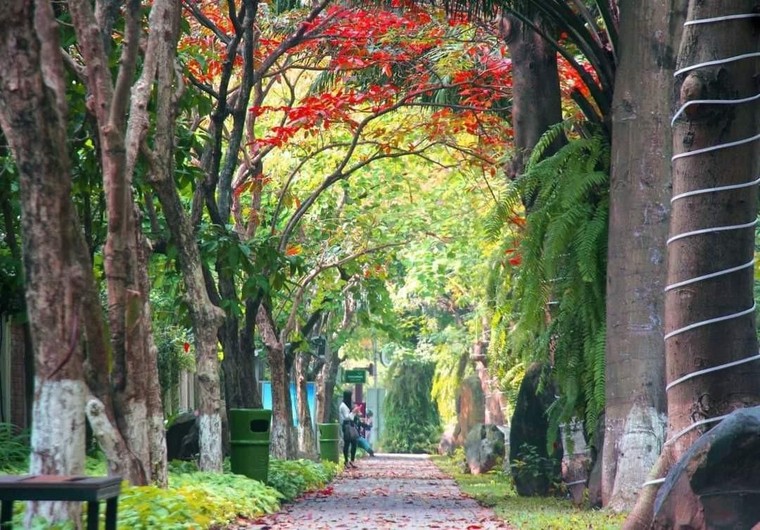 Khu đô thị nói không với những cung đường, vỉa hè bê tông Tại Việt Nam ảnh 3