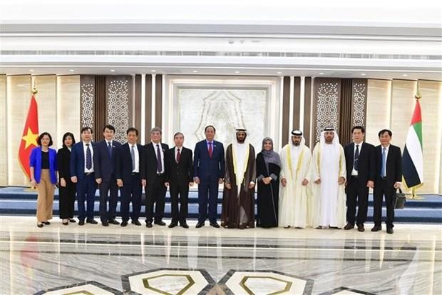 Nhiều biện pháp thúc đẩy hợp tác kinh tế, thương mại Việt Nam-UAE ảnh 1