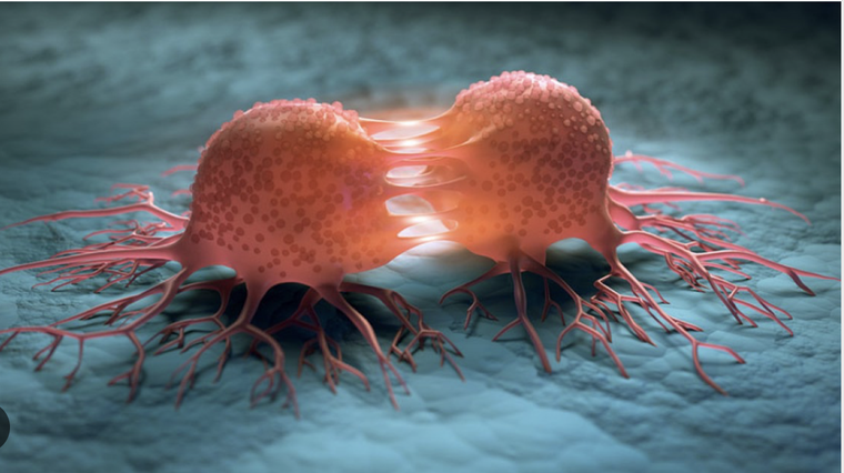 Vaccine ung thư mới khiến tế bào ung thư tiêu diệt chính 'gia đình' mình ảnh 1