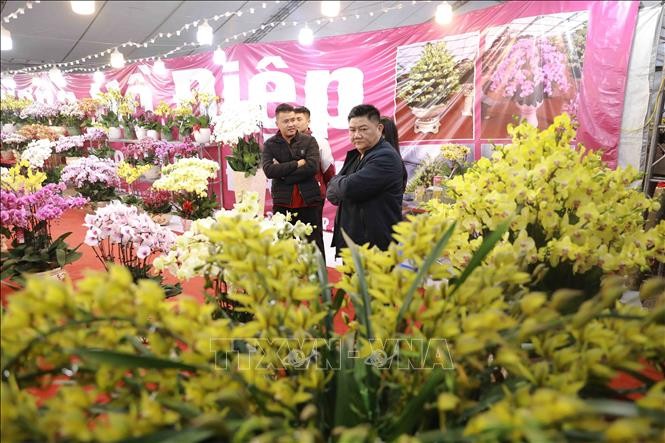 Khai mạc hội chợ Xuân Quý Mão ảnh 2