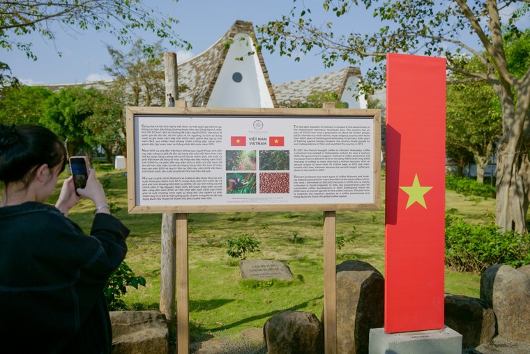 Hơn 5.000 lượt khách tham quan triển lãm tại Bảo tàng Thế giới Cà phê trong ngày khai mạc ảnh 3