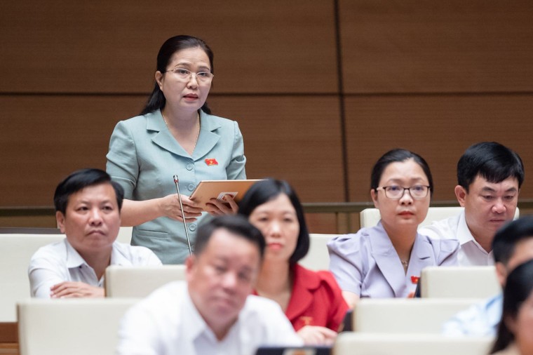 Đại biểu Quốc hội: Nguồn lực cho ngành y còn thiếu, nên tập trung 'xây' thay vì 'chống' ảnh 2