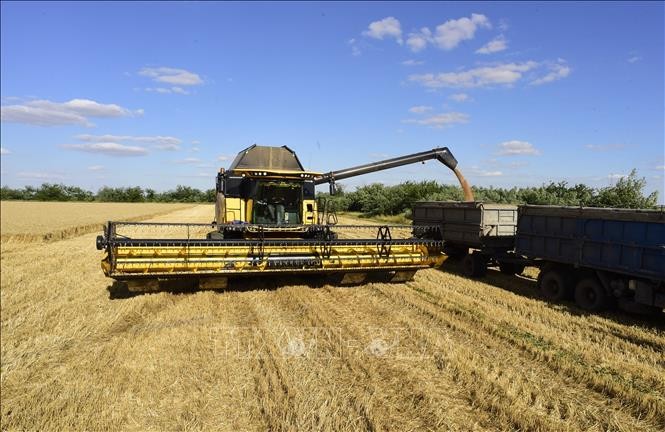 Phản ứng của các bên sau khi Nga ngừng tham gia thỏa thuận ngũ cốc Biển Đen ảnh 1