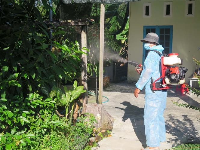 Giám sát chặt chẽ tình hình sốt xuất huyết và bệnh tay - chân - miệng ảnh 1