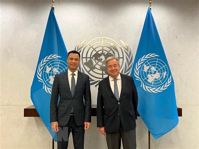 Bản sắc 'Ngoại giao Cây tre': Phát huy 'sức mạnh mềm' quốc gia ảnh 3