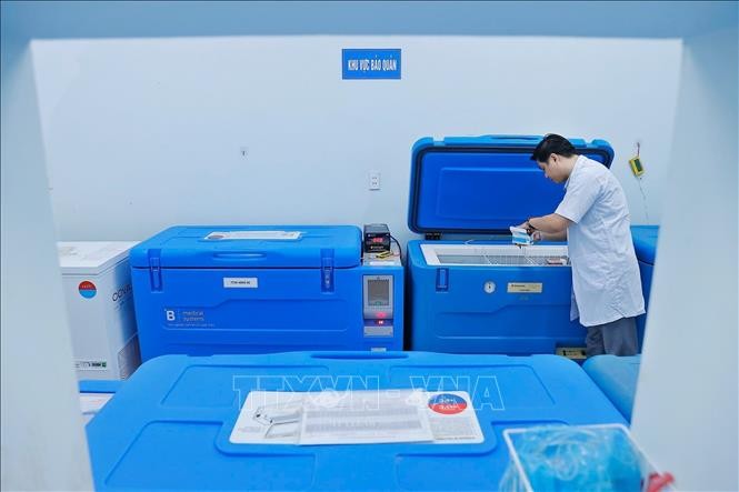 Phòng, chống sốt xuất huyết: Vaccine chưa phải là vũ khí tối thượng ảnh 1