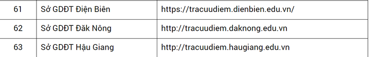 Cách tra cứu điểm thi tốt nghiệp THPT 2024 nhanh nhất ảnh 7