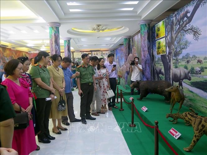 Trưng bày nhiều chuyên đề tại Bảo tàng Văn hóa các dân tộc Việt Nam dịp nghỉ lễ 2/9 ảnh 1