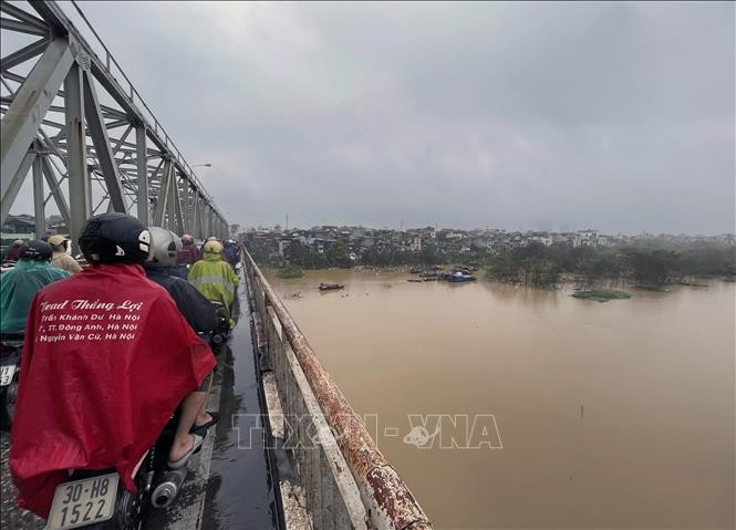 Lũ trên sông Hồng ở Hà Nội vượt báo động 2 ảnh 5