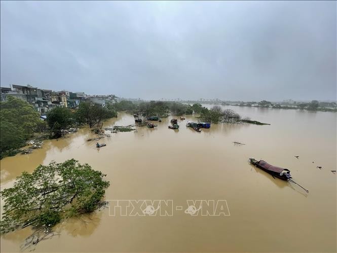 Lũ trên sông Hồng ở Hà Nội vượt báo động 2 ảnh 4