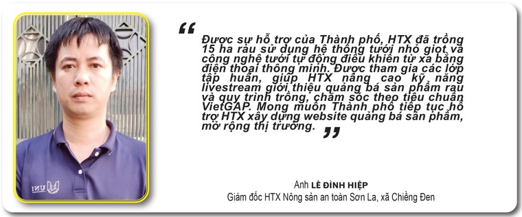 Hỗ trợ doanh nghiệp, HTX sản xuất, tiêu thụ nông sản ảnh 7