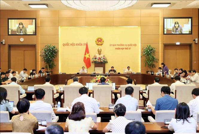 Phát hiện nhiều thủ đoạn mới của tội phạm kinh tế, tham nhũng, buôn lậu ảnh 1