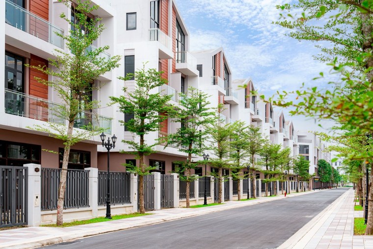 Phân khu Ánh Dương - Đích đến hấp dẫn cho dòng tiền đầu tư tại Vinhomes Ocean Park 3 ảnh 2