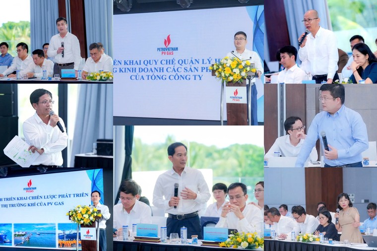 PV GAS đẩy mạnh công tác kinh doanh và phát triển thị trường khí ảnh 3